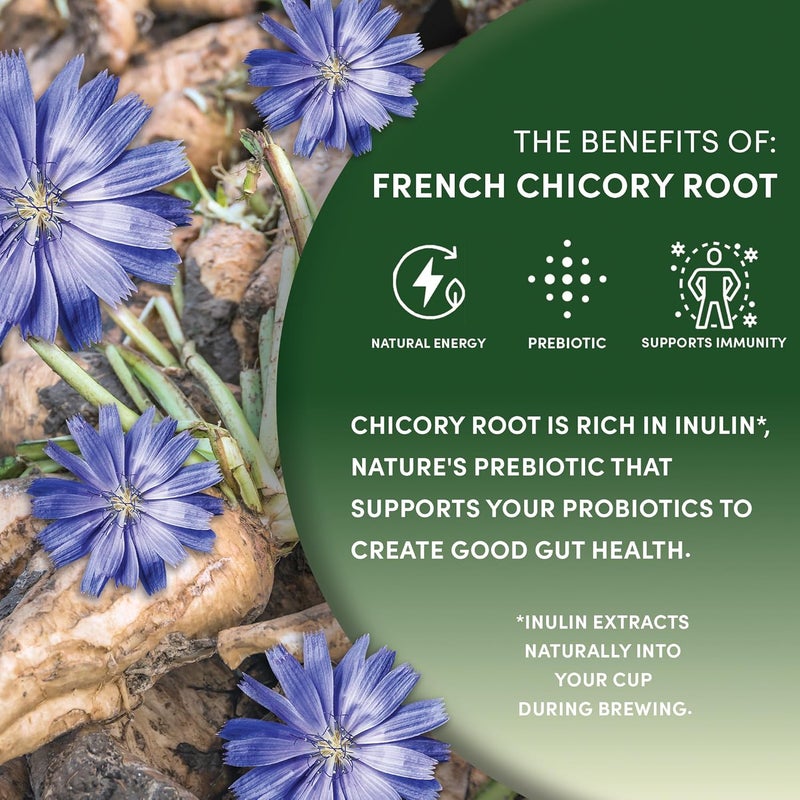 Worldwide Botanicals Premium French Chicory Root, 1 Pound - Caffeine Free Coffee Alternative, Pack of 2 - Image 4